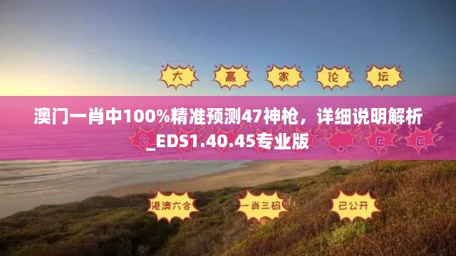 澳門一肖中100%精準(zhǔn)預(yù)測47神槍，詳細說明解析_EDS1.40.45專業(yè)版