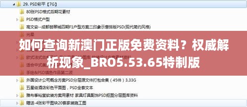 如何查詢新澳門正版免費資料？權(quán)威解析現(xiàn)象_BRO5.53.65特制版