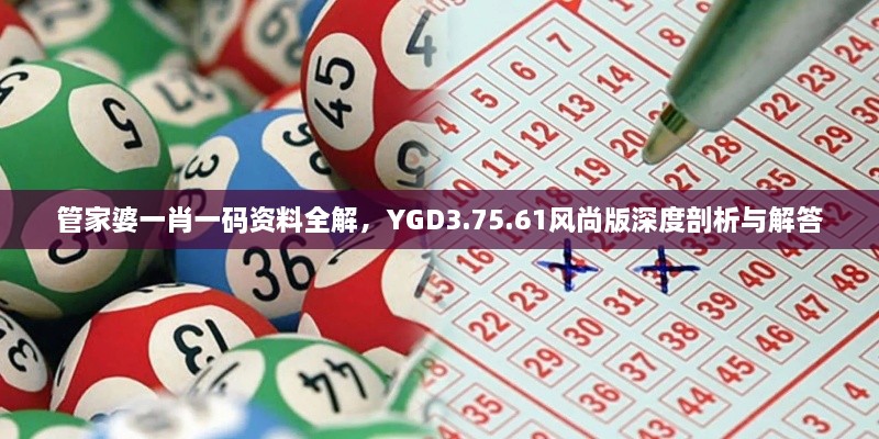 管家婆一肖一碼資料全解，YGD3.75.61風(fēng)尚版深度剖析與解答