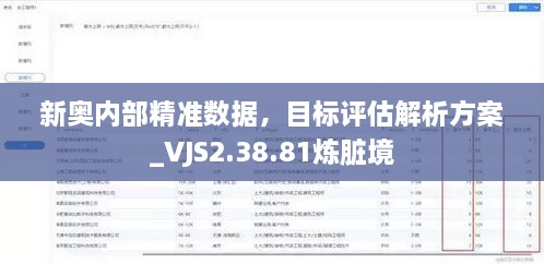 新奧內(nèi)部精準數(shù)據(jù)，目標評估解析方案_VJS2.38.81煉臟境