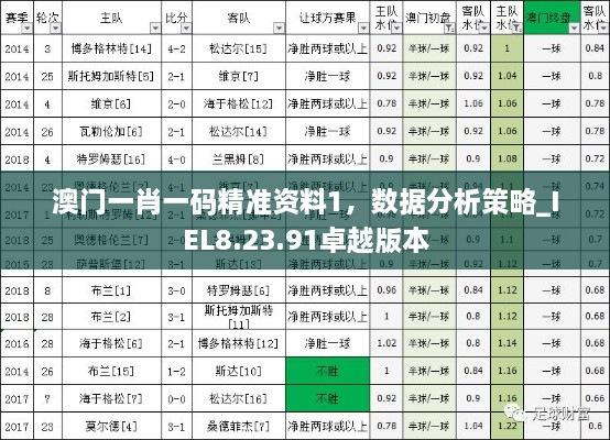 澳門一肖一碼精準資料1，數(shù)據(jù)分析策略_IEL8.23.91卓越版本