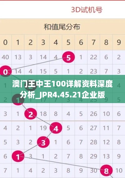 澳門(mén)王中王100詳解資料深度分析_JPR4.45.21企業(yè)版