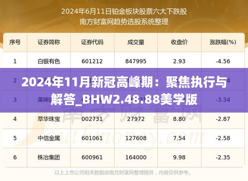 2024年11月新冠高峰期：聚焦執(zhí)行與解答_BHW2.48.88美學(xué)版