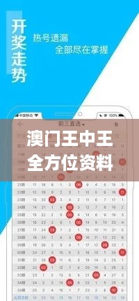 澳門王中王全方位資料，快速實施解決方案_XJG1.55.46遠光版