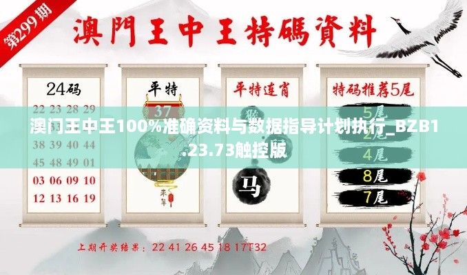 澳門王中王100%準(zhǔn)確資料與數(shù)據(jù)指導(dǎo)計(jì)劃執(zhí)行_BZB1.23.73觸控版