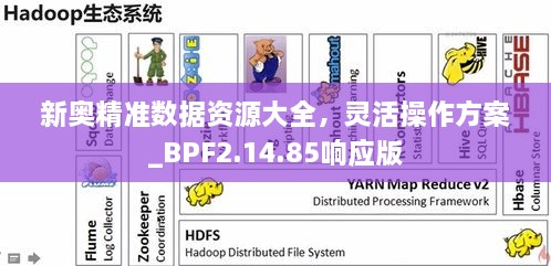 新奧精準(zhǔn)數(shù)據(jù)資源大全，靈活操作方案_BPF2.14.85響應(yīng)版