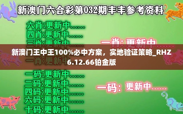 新澳門王中王100%必中方案，實(shí)地驗(yàn)證策略_RHZ6.12.66鉑金版