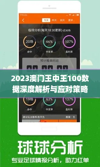 2023澳門王中王100數(shù)據(jù)深度解析與應(yīng)對(duì)策略_GGR8.22.66精裝版