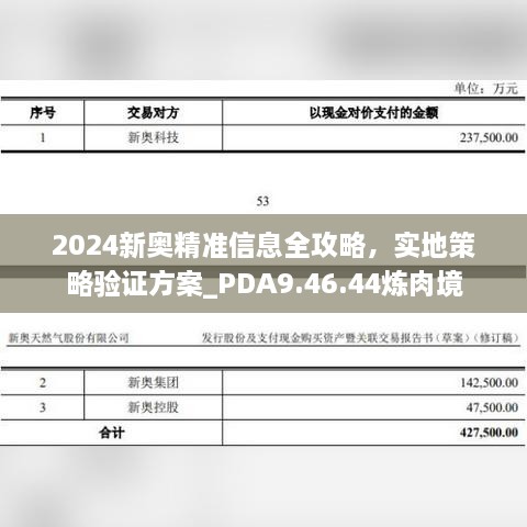 2024新奧精準(zhǔn)信息全攻略，實(shí)地策略驗(yàn)證方案_PDA9.46.44煉肉境