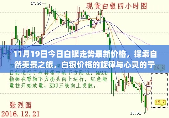 白銀最新走勢與探索自然美景之旅，白銀價格的旋律與心靈寧靜的交響曲（11月19日更新）