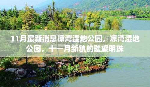 11月新貌璀璨明珠，涼灣濕地公園最新動態(tài)