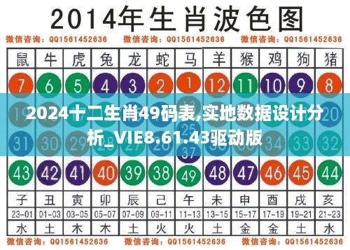 2024十二生肖49碼表,實地數(shù)據(jù)設(shè)計分析_VIE8.61.43驅(qū)動版