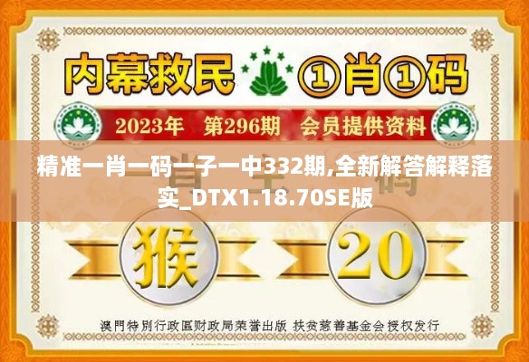 精準一肖一碼一子一中332期,全新解答解釋落實_DTX1.18.70SE版