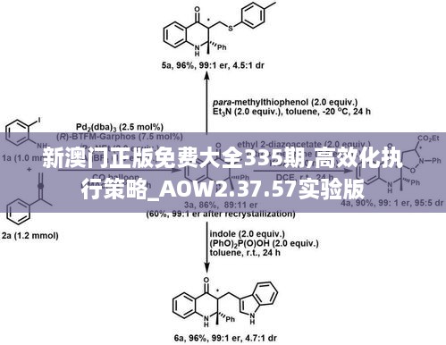 新澳門正版免費(fèi)大全335期,高效化執(zhí)行策略_AOW2.37.57實(shí)驗(yàn)版