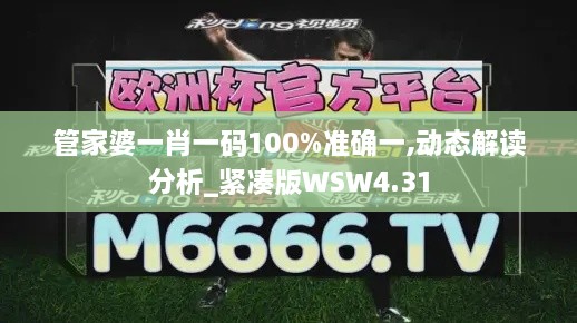 管家婆一肖一碼100%準確一,動態(tài)解讀分析_緊湊版WSW4.31