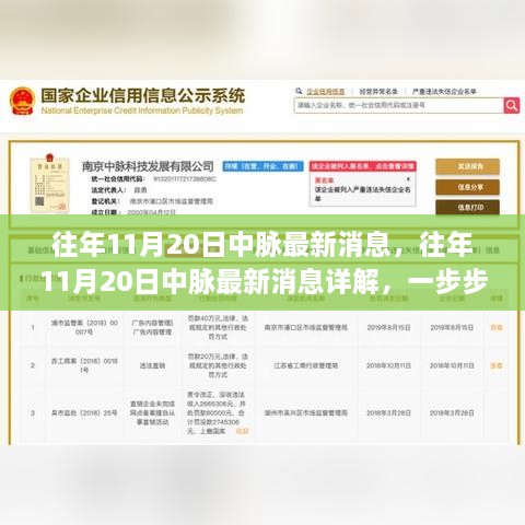 往年11月20日中脈最新消息，往年11月20日中脈最新消息詳解，一步步了解如何跟進中脈動態(tài)
