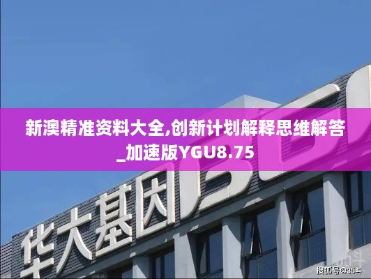 新澳精準(zhǔn)資料大全,創(chuàng)新計(jì)劃解釋思維解答_加速版YGU8.75