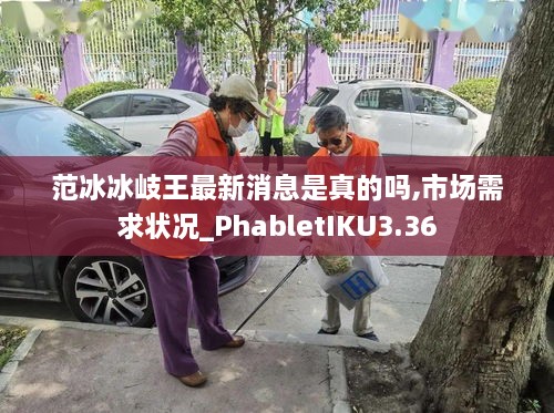 范冰冰岐王最新消息是真的嗎,市場需求狀況_PhabletIKU3.36