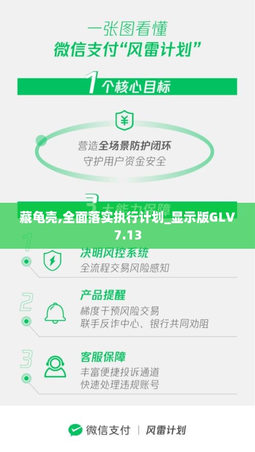 藏龜殼,全面落實(shí)執(zhí)行計(jì)劃_顯示版GLV7.13