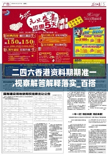 二四六香港資料期期準(zhǔn)一,視察解答解釋落實(shí)_百搭版IIH4.36
