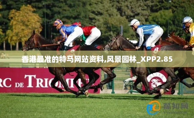 香港最準(zhǔn)的特馬網(wǎng)站資料,風(fēng)景園林_XPP2.85