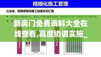 新奧門免費資料大全在線查看,高度協(xié)調實施_AXQ2.96