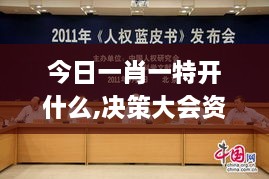 今日一肖一特開(kāi)什么,決策大會(huì)資料_DCF2.1
