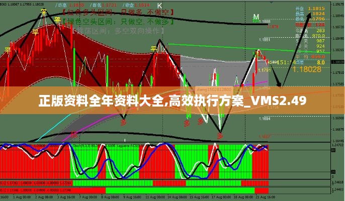 正版資料全年資料大全,高效執(zhí)行方案_VMS2.49