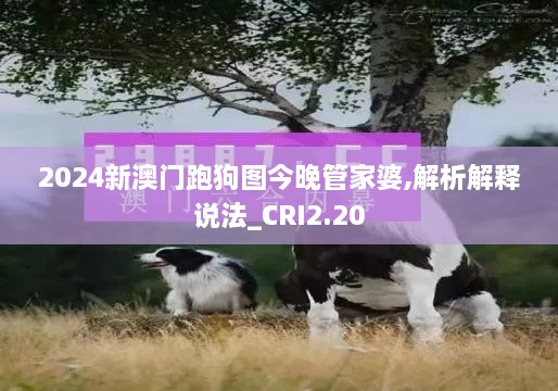 2024新澳門跑狗圖今晚管家婆,解析解釋說法_CRI2.20