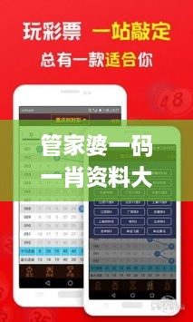 管家婆一碼一肖資料大全四柱預(yù)測(cè),定性解析明確評(píng)估_VXE2.50