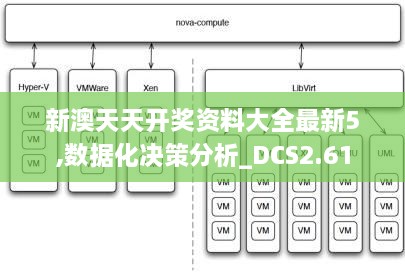 新澳天天開獎資料大全最新5,數據化決策分析_DCS2.61