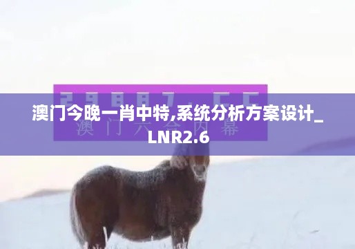 澳門(mén)今晚一肖中特,系統(tǒng)分析方案設(shè)計(jì)_LNR2.6