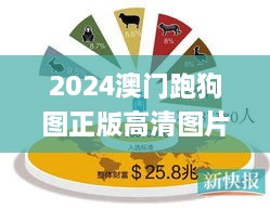 2024澳門跑狗圖正版高清圖片大全,實(shí)際調(diào)研解析_RVR2.8