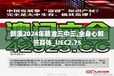 新澳2024年精準(zhǔn)三中三,全身心解答具體_UEC2.75