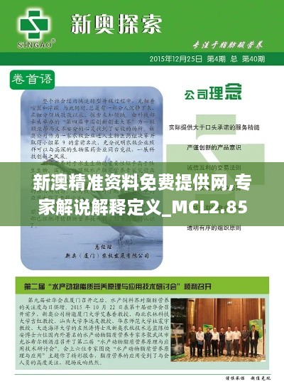 新澳精準(zhǔn)資料免費(fèi)提供網(wǎng),專(zhuān)家解說(shuō)解釋定義_MCL2.85