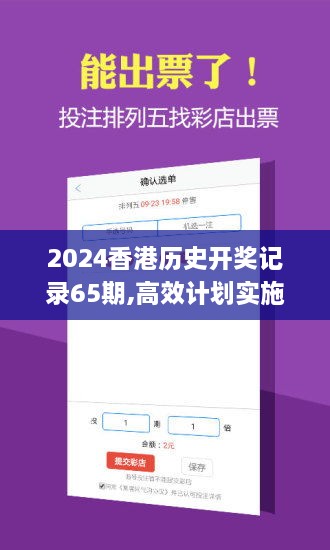 2024香港歷史開獎記錄65期,高效計劃實施_IGG2.74