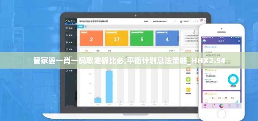 管家婆一肖一碼取準確比必,平衡計劃息法策略_HHX2.54