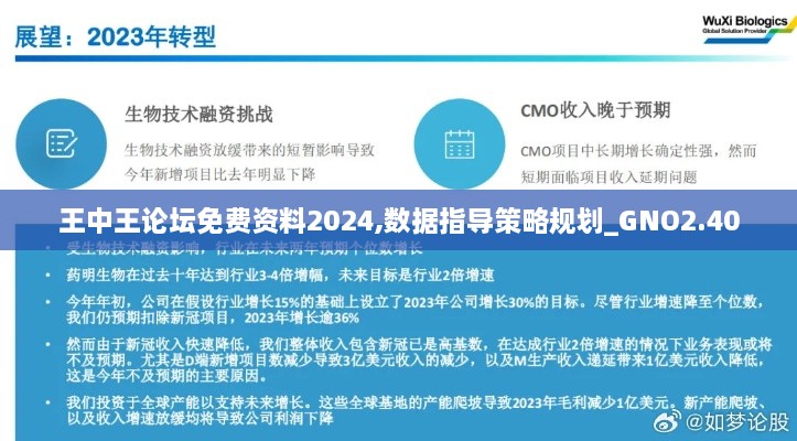 王中王論壇免費資料2024,數(shù)據(jù)指導策略規(guī)劃_GNO2.40