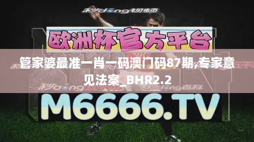 管家婆最準一肖一碼澳門碼87期,專家意見法案_BHR2.2