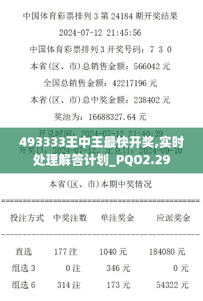 493333王中王最快開獎,實時處理解答計劃_PQO2.29
