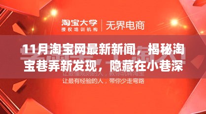 11月淘寶網(wǎng)最新新聞，揭秘淘寶巷弄新發(fā)現(xiàn)，隱藏在小巷深處的獨(dú)特寶藏小店