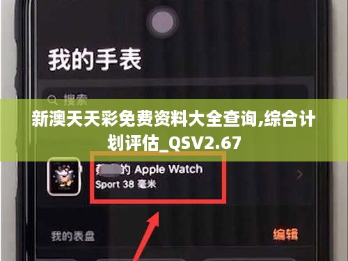 新澳天天彩免費(fèi)資料大全查詢,綜合計(jì)劃評估_QSV2.67