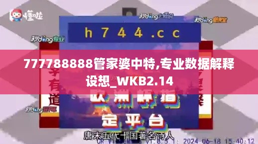 777788888管家婆中特,專業(yè)數(shù)據(jù)解釋設想_WKB2.14