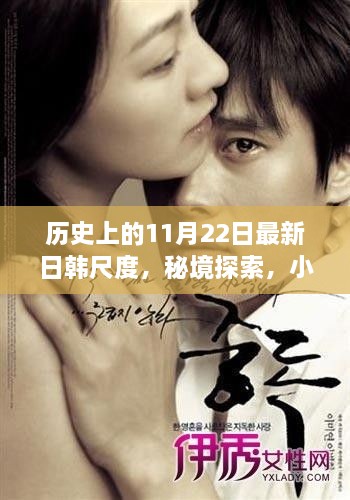 建議，歷史上的11月22日，揭秘日韓風(fēng)尚與私密秘境探索