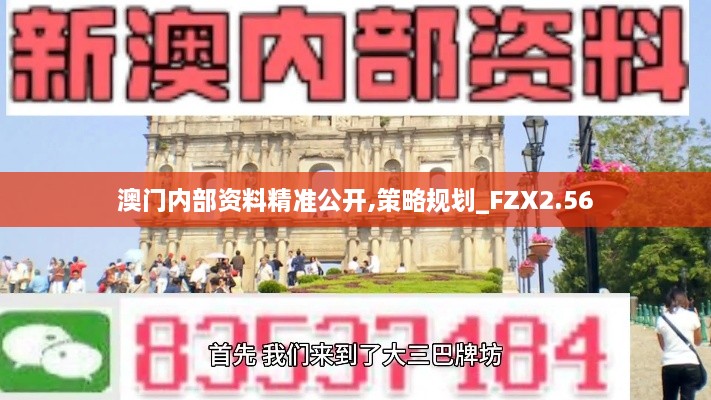 澳門內(nèi)部資料精準公開,策略規(guī)劃_FZX2.56