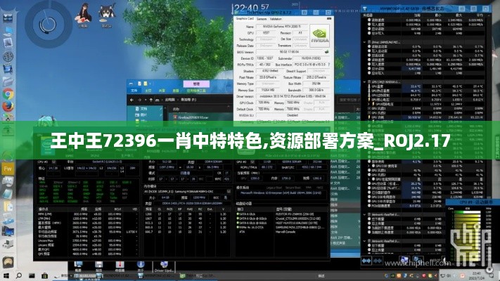 王中王72396一肖中特特色,資源部署方案_ROJ2.17