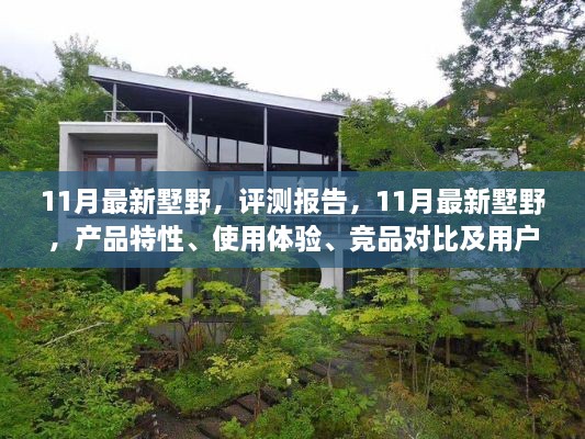 11月最新墅野產(chǎn)品評測報告，特性、體驗、對比及用戶群體深度解析