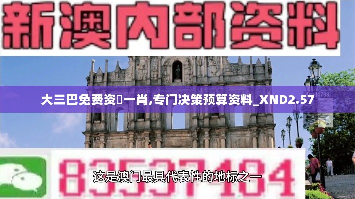 大三巴免費資枓一肖,專門決策預算資料_XND2.57