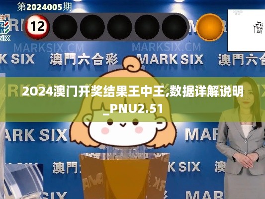 2O24澳門開獎(jiǎng)結(jié)果王中王,數(shù)據(jù)詳解說明_PNU2.51
