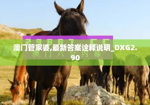 澳門管家婆,最新答案詮釋說明_DXG2.90